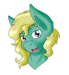 Size: 1147x1231 | Tagged: safe, artist:midnightfire1222, oc, oc only, oc:mikayell, earth pony, pony, bust, commission, portrait, simple background, solo, transparent background