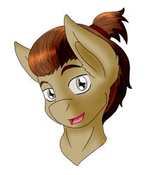 Size: 1063x1252 | Tagged: safe, artist:midnightfire1222, oc, oc only, oc:neighrator pony, earth pony, pony, bust, commission, portrait, simple background, solo, transparent background