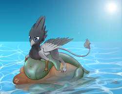 Size: 1300x1000 | Tagged: safe, oc, oc only, oc:vax, fish, griffon, carnivore, fishing, griffons doing griffon things, hungry, hunting, ocean, sky