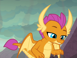 Size: 1144x863 | Tagged: safe, screencap, smolder, g4, sweet and smoky, cropped, female, lidded eyes, looking down, solo, wings