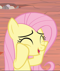 Size: 700x825 | Tagged: safe, screencap, fluttershy, pegasus, pony, g4, sweet and smoky, cheek squish, cropped, cute, eyes closed, female, mare, open mouth, shyabetes, smiling, solo, squishy cheeks, weapons-grade cute