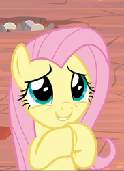 Size: 634x872 | Tagged: safe, screencap, fluttershy, pegasus, pony, g4, sweet and smoky, cropped, cute, female, hooves together, mare, shyabetes, smiling, solo
