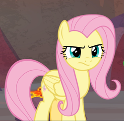 Size: 879x853 | Tagged: safe, screencap, fluttershy, pegasus, pony, g4, sweet and smoky, cropped, female, fluttershy is not amused, mare, solo, unamused
