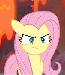 Size: 717x825 | Tagged: safe, screencap, fluttershy, pegasus, pony, g4, sweet and smoky, angry, cropped, cute, ears back, female, fluttershy is not amused, madorable, mare, solo, unamused