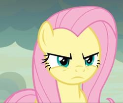 Size: 1119x938 | Tagged: safe, screencap, fluttershy, pegasus, pony, g4, sweet and smoky, angry, badass, cropped, female, flutterbadass, fluttershy is not amused, glare, mare, solo, unamused
