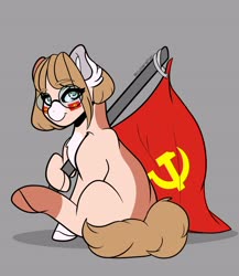 Size: 3562x4096 | Tagged: safe, artist:cyberafter, part of a set, oc, oc:emy, earth pony, pony, communism, female, flag, glasses, mare, ych result