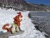 Size: 2048x1536 | Tagged: safe, artist:hihin1993, autumn blaze, kirin, g4, forest, ice, irl, japan, photo, plushie, snow, solo