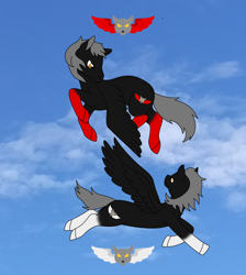 Size: 2304x2572 | Tagged: safe, artist:chili19, oc, pegasus, pony, wolf, airwolf, cloud, duo, female, flying, high res, mare, ponified, wings
