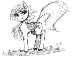 Size: 917x766 | Tagged: safe, artist:anonymous, rainbow dash, pegasus, pony, g4, 4chan, drawthread, female, monochrome, solo