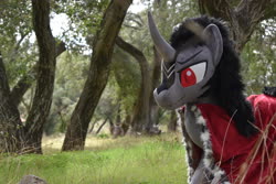 Size: 4496x3000 | Tagged: safe, artist:akiacreations, king sombra, pony, unicorn, g4, clothes, forest, grass, irl, male, nature, outdoors, photo, plushie, robe, smiling, solo, tree