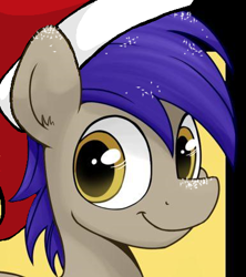 Size: 385x434 | Tagged: safe, artist:lucas_gaxiola, oc, oc only, pony, bust, christmas, hat, head, holiday, male, santa hat, smiling, solo, stallion