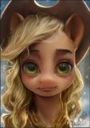 Size: 535x755 | Tagged: safe, artist:assasinmonkey, edit, faceapp, applejack, earth pony, pony, g4, cowboy hat, digital painting, female, hat, looking at you, mare, uncanny valley