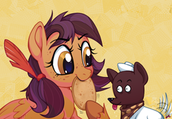 Size: 3250x2244 | Tagged: safe, artist:docwario, oc, oc only, oc:flapjack, oc:warm wishes, dog, pegasus, pony, bandana, bread, female, food, freckles, hat, high res, mare, tongue out, unshorn fetlocks