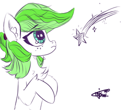 Size: 1820x1600 | Tagged: safe, artist:mjsw, oc, oc only, oc:lime mane the third, pony, sketch, solo, wip