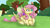 Size: 5600x3150 | Tagged: safe, artist:feathershine1, fluttershy, butterfly, pegasus, pony, g4, absurd resolution, butterfly on nose, cloven hooves, cross-eyed, cute, ear fluff, female, folded wings, grass, insect on nose, looking at something, mare, outdoors, prone, shyabetes, smiling, solo, stray strand, tree, wings