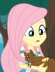 Size: 960x1255 | Tagged: safe, screencap, fluttershy, squirrel, equestria girls, g4, my little pony equestria girls: better together, text support, text support: fluttershy, cropped, female, solo
