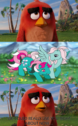 Size: 1024x1650 | Tagged: safe, edit, edited screencap, screencap, fizzy, wind whistler, bird, cardinal, pegasus, pony, unicorn, anthro, g1, angry birds, anthro with ponies, comic, crossover, dialogue, female, mare, red bird, screencap comic, the angry birds movie