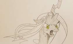 Size: 2048x1233 | Tagged: safe, artist:polar_storm, queen chrysalis, changeling, changeling queen, g4, angry, female, mare, monochrome, palindrome get, partial color, simple background, sketch, solo, traditional art, white background