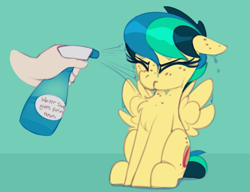 Size: 1069x820 | Tagged: safe, artist:shinodage, edit, oc, oc only, oc:apogee, human, pegasus, pony, apogee getting sprayed, bad pony, behaving like a bird, chest fluff, cute, diageetes, disembodied hand, eyes closed, female, filly, floppy ears, fluffy, green background, hand, mare, nostrils edit, offscreen character, simple background, solo focus, spray bottle, this will end in jail time, wet