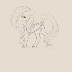 Size: 4000x4000 | Tagged: safe, artist:miokomata, fluttershy, pegasus, pony, g4, butt, female, floppy ears, freckles, freckleshy, looking at you, mare, neck fluff, plot, profile, simple background, sketch, white background