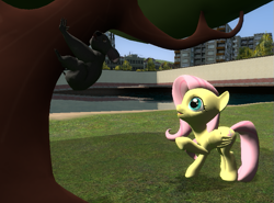 Size: 793x587 | Tagged: safe, artist:didgereethebrony, fluttershy, earth pony, koala, pegasus, pony, g4, 3d, gmod, this will end in hugs, tree