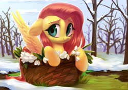 Size: 3508x2480 | Tagged: safe, artist:vensual99, fluttershy, pegasus, pony, g4, basket, cute, female, floppy ears, flower, high res, looking at you, mare, outdoors, pony in a basket, scenery, shyabetes, smiling, snow, snowdrop (flower), solo, spread wings, spring, three quarter view, wings