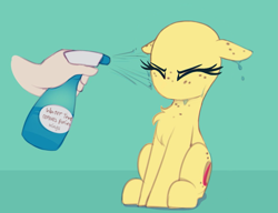 Size: 1069x820 | Tagged: safe, artist:shinodage, edit, oc, oc only, oc:apogee, human, pony, apogee getting sprayed, bad pony, behaving like a bird, chest fluff, cute, diageetes, disembodied hand, eyes closed, female, filly, floppy ears, fluffy, followup, green background, hand, mare, no hair, no mouth, no nose, offscreen character, simple background, solo focus, spray bottle, this will end in jail time, wet