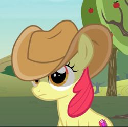 Size: 723x716 | Tagged: safe, screencap, apple bloom, earth pony, pony, g4, honest apple, cowboy hat, cropped, female, filly, hat, shade, solo, stetson