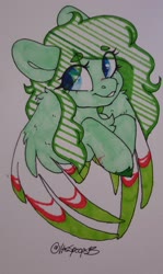 Size: 1959x3289 | Tagged: safe, artist:spoopygander, oc, oc only, oc:lief, pegasus, pony, chest fluff, colored wings, cute, female, mare, markings, multicolored wings, scar, smiling, solo, traditional art, unshorn fetlocks, wing fluff, wings