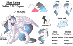 Size: 6800x4302 | Tagged: safe, artist:amazing-artsong, oc, oc only, oc:silver lining (amazing-artsong), pegasus, pony, absurd resolution, male, reference sheet, simple background, solo, stallion, transparent background