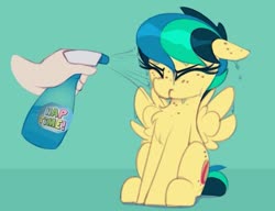 Size: 1069x820 | Tagged: safe, artist:shinodage, edit, oc, oc only, oc:apogee, human, apogee getting sprayed, bad pony, green background, naptime!, offscreen character, simple background, spray bottle, water