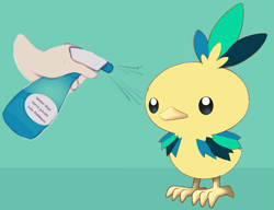 Size: 1059x815 | Tagged: safe, artist:shinodage, edit, oc, oc only, oc:apogee, human, torchic, apogee getting sprayed, bad pony, barely pony related, green background, offscreen character, pokefied, pokémon, simple background, species swap, spray bottle