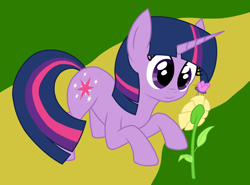 Size: 3080x2279 | Tagged: safe, artist:sheeppony, twilight sparkle, butterfly, pony, unicorn, g4, cute, female, flower, high res, looking at something, mare, solo, twiabetes, unicorn twilight