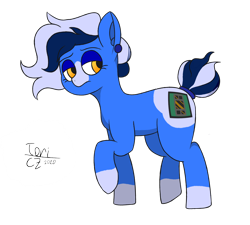 Size: 2000x1800 | Tagged: safe, artist:toricelli, oc, oc only, oc:pascal molex, earth pony, pony, appaloosa, cel shading, coat markings, colored, edgy, simple background, solo, teenager, transparent background, watermark