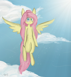 Size: 2345x2557 | Tagged: safe, artist:ratann, fluttershy, pegasus, pony, g4, blank stare, cloud, female, flying, high res, no pupils, solo