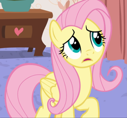 Size: 1009x938 | Tagged: safe, screencap, fluttershy, pegasus, pony, discordant harmony, g4, confluttershy, confused, cropped, female, mare, open mouth, raised hoof, solo