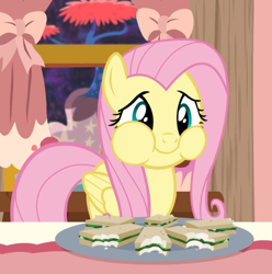 Size: 877x884 | Tagged: safe, screencap, fluttershy, pegasus, pony, discordant harmony, g4, aweeg*, cheek bulge, cropped, cute, female, food, full mouth, mare, plate, puffy cheeks, sandwich, shyabetes, smiling, solo