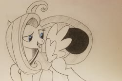 Size: 2048x1364 | Tagged: safe, artist:polar_storm, fluttershy, pegasus, pony, buckball season, g4, blue eyes, buckball, clothes, female, flying, mare, monochrome, partial color, shirt, simple background, sketch, solo, traditional art, white background