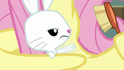 Size: 1920x1080 | Tagged: safe, screencap, angel bunny, fluttershy, a trivial pursuit, g4, brush, brushing, waving