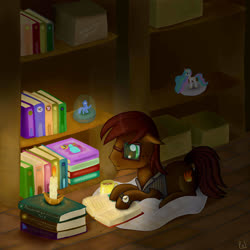 Size: 3000x3000 | Tagged: safe, artist:polkin, oc, oc only, oc:kronos, pony, book, candle, clothes, figurine, high res, library, reading, solo, watch