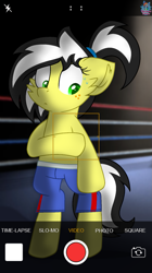 Size: 889x1585 | Tagged: safe, artist:rainbow eevee, oc, oc only, oc:uppercute, earth pony, pony, bipedal, boxer, boxing ring, boxing shorts, camera, camera shy, clothes, cute, female, freckles, green eyes, iphone, iphone camera, photo, photography, sexy, shorts, solo, sweat, tomboy