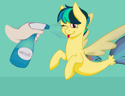 Size: 1069x820 | Tagged: safe, artist:cadetredshirt, artist:shinodage, edit, oc, oc only, oc:apogee, human, seapony (g4), ;p, apogee getting sprayed, cute, diageetes, disembodied hand, female, filly, floppy ears, fluffy, freckles, green background, h2o: just add water, hand, mare, offscreen character, one eye closed, seaponified, simple background, solo focus, species swap, spray bottle, tongue out, wet, wink