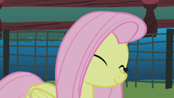 Size: 1280x720 | Tagged: safe, screencap, fluttershy, g4, stare master, cute, eyes closed, fence, shyabetes, weapons-grade cute