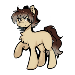 Size: 2000x2000 | Tagged: safe, artist:poofindi, oc, oc only, earth pony, pony, chest fluff, freckles, high res, raised hoof, simple background, smiling, solo, standing, transparent background