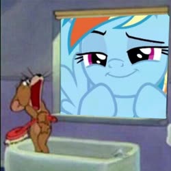 Size: 1920x1920 | Tagged: safe, edit, edited screencap, screencap, rainbow dash, mouse, pegasus, pony, g4, baby puss, brush, faic, jerry mouse, meme, screaming, smiling, smirk, tom and jerry, window