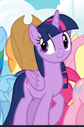 Size: 538x817 | Tagged: safe, screencap, applejack, fluttershy, pinkie pie, rainbow dash, twilight sparkle, alicorn, earth pony, pegasus, pony, fame and misfortune, g4, cropped, cute, female, mare, raised hoof, smiling, solo focus, twiabetes, twilight sparkle (alicorn), we're not flawless