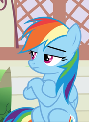 Size: 571x784 | Tagged: safe, screencap, rainbow dash, pegasus, pony, daring done?, g4, cropped, crossed hooves, female, mare, rainbow dash is not amused, sitting, solo, unamused