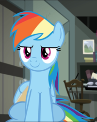 Size: 753x941 | Tagged: safe, screencap, rainbow dash, pegasus, pony, daring done?, g4, cropped, female, mare, sitting, smiling, solo