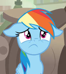 Size: 840x937 | Tagged: safe, screencap, rainbow dash, pegasus, pony, daring done?, g4, cropped, female, floppy ears, mare, scared, solo