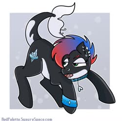 Size: 1280x1275 | Tagged: safe, artist:redpalette, oc, oc only, pony, sea pony, female, goth, mare, piercing